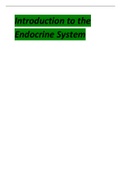 Introduction to the Endocrine System.pdf