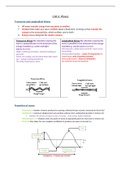 Triple Physics GCSE AQA Grade 9 Unit 6 Waves Notes