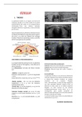 Resumen practico de anatomia radiologia de tiroides y glandulas salivales 