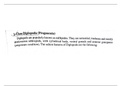 Latest Preview Thumbnail