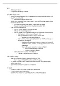 Post 1980's notes &lpar;9&sol;11&comma; Iraqi War&comma; Gulf War&rpar;