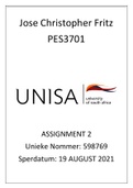 2021 PES3701 marked Assignment 2 (92%)