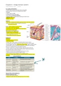 Chapter 6 - Integumentary System