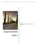 Gehele conceptuele leerlijn ergotherapie jaar 1&excl;