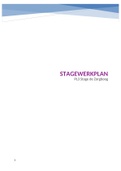 Stagewerkplan PL3 stage (Wijkzorg)