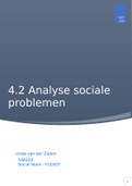 4.2 Analyse sociale problemen