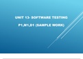 UNIT 13 SOFTWARE TESTING DISTINCTION EXAMPLE 2023