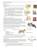 biologie samenvatting vwo 3 nectar hoofdstuk 13 dieren en planten