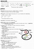 Protein notes for MATSEC A-level Biology
