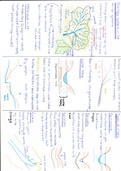 Grade 12 Geography - Geomorphology and River Notes with Illustrations
