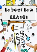 Labour Law Complete Module Summary [LLA101] 