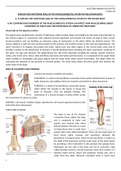 LEARNING AIM A: UNDERSTAND THE IMPACT OF DISORDERS OF THE MUSCULOSKELETAL SYSTEM AND THEIR ASSCOIATED CORRECTIVE TREATMENTS