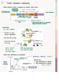 Structural Biology - Protein Expression and Engineering