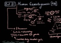 Human gametogenesis Notes 