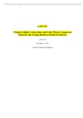 LAW 531 Property Rights, Cybercrime, and Cyber Piracy’s Impact on Domestic and Foreign Business Heriberto Ramirez