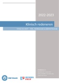 Praktijkleren 4 - Klinisch redeneren &sol; Verpleegkundig Leiderschap &sol; Normatieve Professionalisering 
