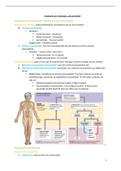 Anatomie en fysiologie: VRHi 2 - Zenuwstelsel