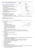 Summary Adult Neuropsychology (PSY3369/IPN3369) 