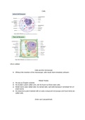 Here is the biology notes on cells. 