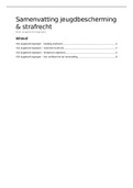 Samenvatting Recht begrepen - Jeugdrecht begrepen&comma; ISBN&colon; 9789462902251  jeugdbescherming & strafrecht