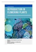 IEB Life Sciences: Reproduction in Flowering plants 