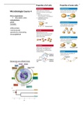 Samenvatting  Microbiologie BM4