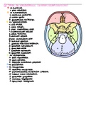 Uitwerking open vragen 'neuroanatomie' vraag 1-10