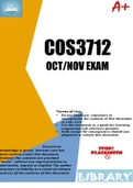 COS3712 Oct&sol;Nov Exam 2023
