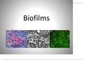 Biofilms in health and diseases
