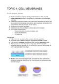 Summary Unit 4- Cell membranes and Transport (9700) CIE