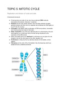 Summary Unit 5- The Mitotic cell cycle (9700) CIE
