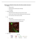 Behavioral neuroscience cells of the nervous system notes 