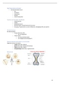 Anatomie en fysiologie deel 1: beenderen, gewrichten en spieren