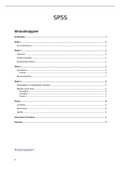 Handelingen SPSS