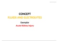 RNSG 1137 Acute Kidney Injury Study Guide/Top Score A+