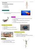 The human skeleton - Life science GR 11 IEB summaries/ notes