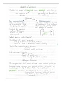GCSE Biology Chapter 3 (Infection & response) handwritten notes *GRADE 9*