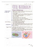 Plants and Animals Cells