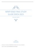 NRNP 6566 FINAL STUDY  2023