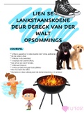 Lien se Lankstaanskoene Visual Summaries IEB