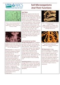 Soil Microorganisms and their Functions