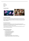 Animal Health and Diseases - Bacteria