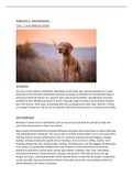 Canine Behaviour Article 