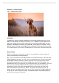 Canine Behaviour Article