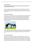 Illustrated Report of Equine Communication