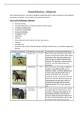 An Introduction to Animal Behaviour - Equine Behaviour