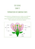 life science; Reproduction in Flowers grade 11 IEB November 