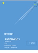 BNU 1501 Assignment 1 Semester 1 2023 