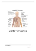 Ziektebeeld werkstuk VP ziekte van Cushing &lpar;uitgebreid&rpar;