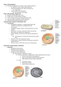 Microbiology Summary of content for Midterm Exam